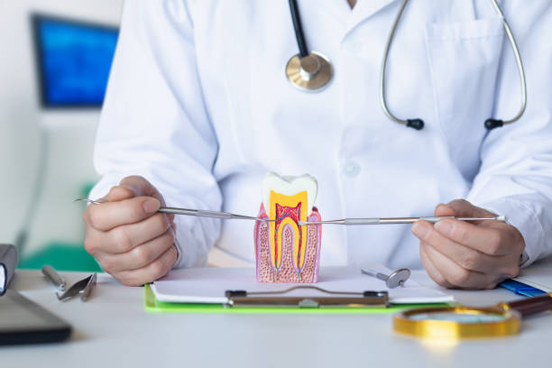 Best Emergency Root Canal Treatment in Arvin, CA